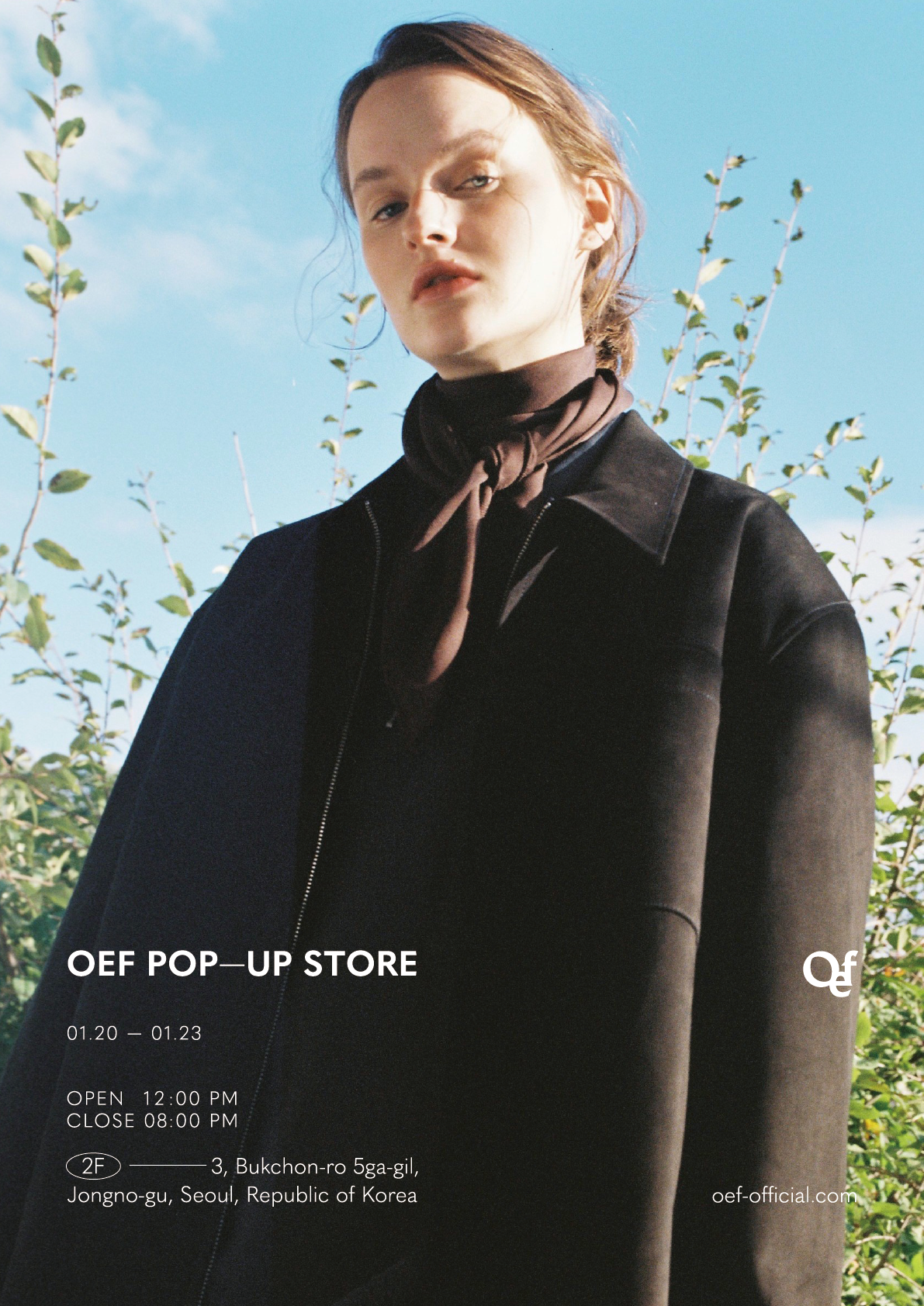 Pop-up poster, cropped grid